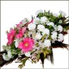 4 someone Special - Click here to View more details about this Product